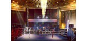 Boxeo Torrelodondes-520x245