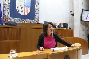 Sesión plenaria de las Cortes de Aragón